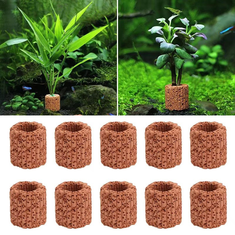 Aquarium Plants Live - Cincin Tetap Tanaman Air untuk Pemandangan