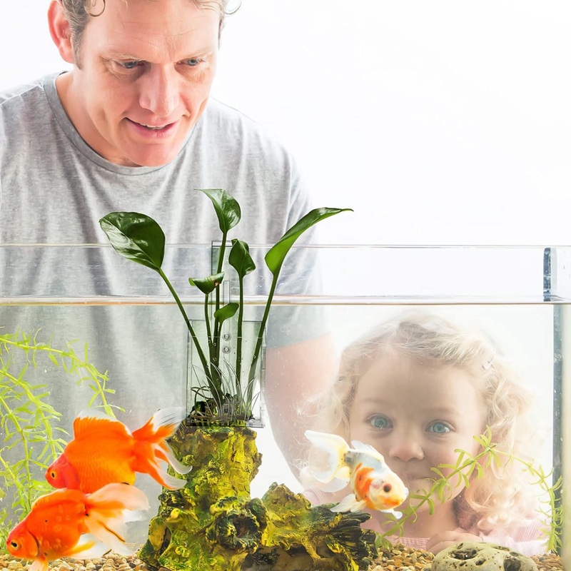 Aquarium Plant Holder - Penyangga Tanaman Akuarium - Tempat Tanaman