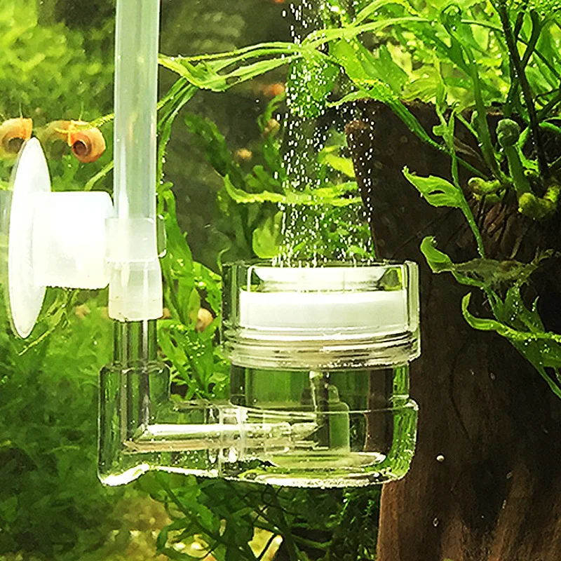 Live Plant Aquarium - Reaktor Gelembung Tangki Kaca Diffuser CO2