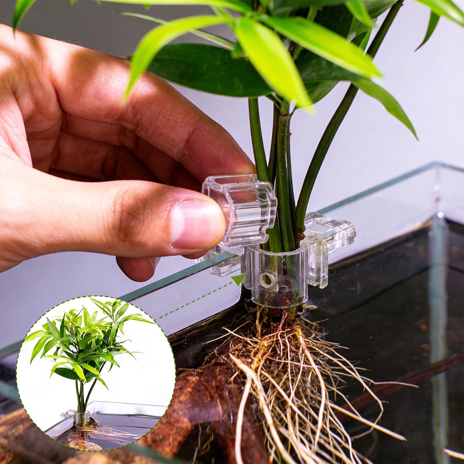 Aquarium Plant Holder - Pot Tanaman Mini untuk Akuarium 6Pcs,