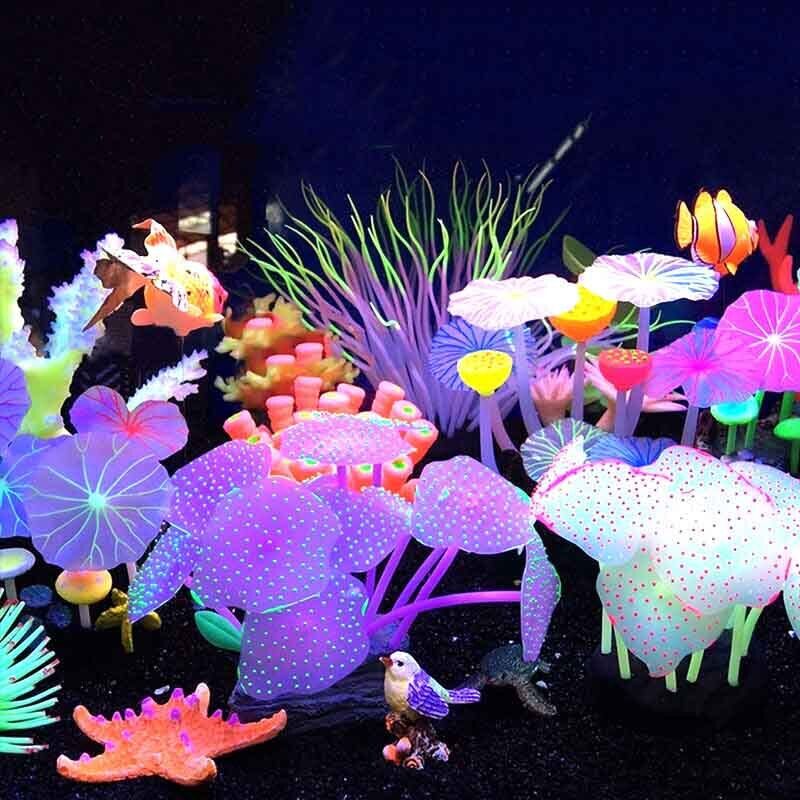 Silikon Bercahaya untuk Lanska - Live Plant Aquarium ulasan dan harga