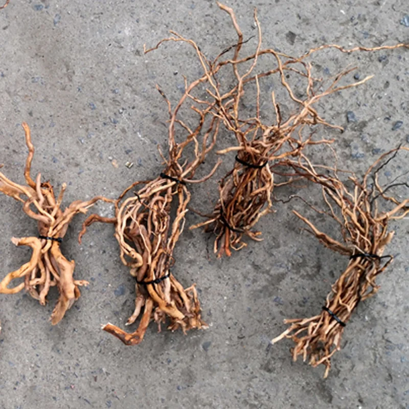Batang Pohon Kayu Apung Alami  - Aquarium Driftwood ulasan dan harga