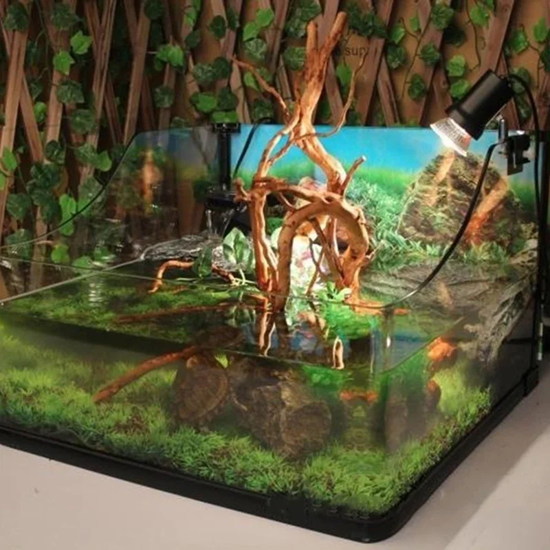 Pohon alami kayu apung akuariu - Aquarium Driftwood ulasan dan harga