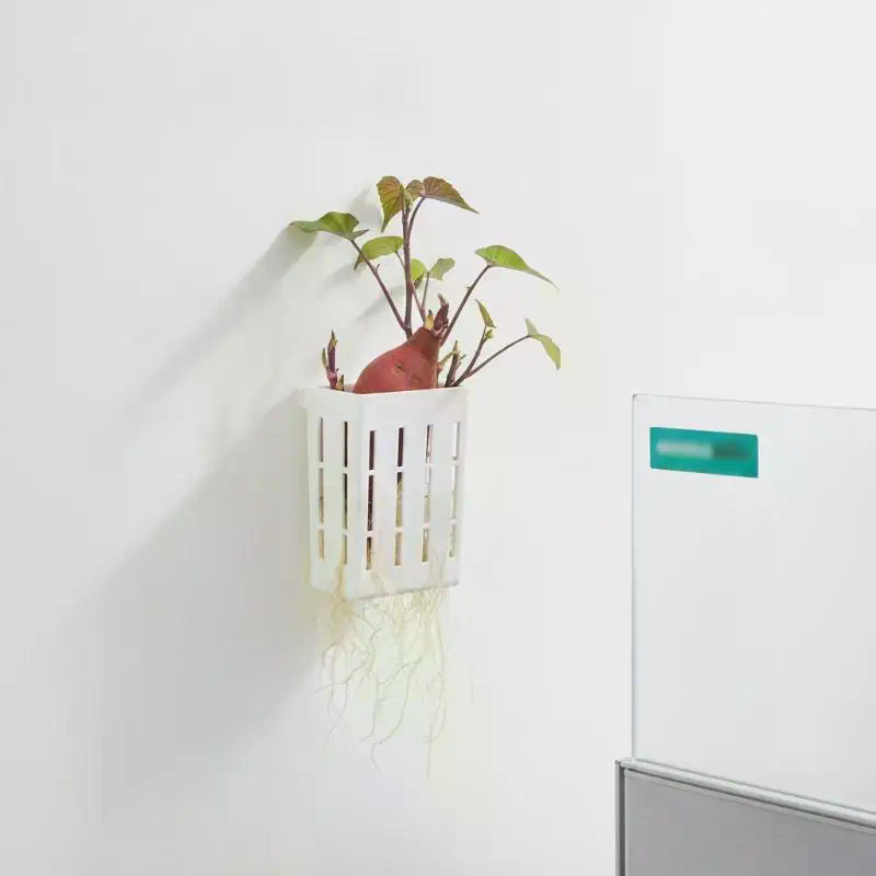 1 Buah Keranjang Penyangga Hid - Plant Aquarium Pot ulasan dan harga