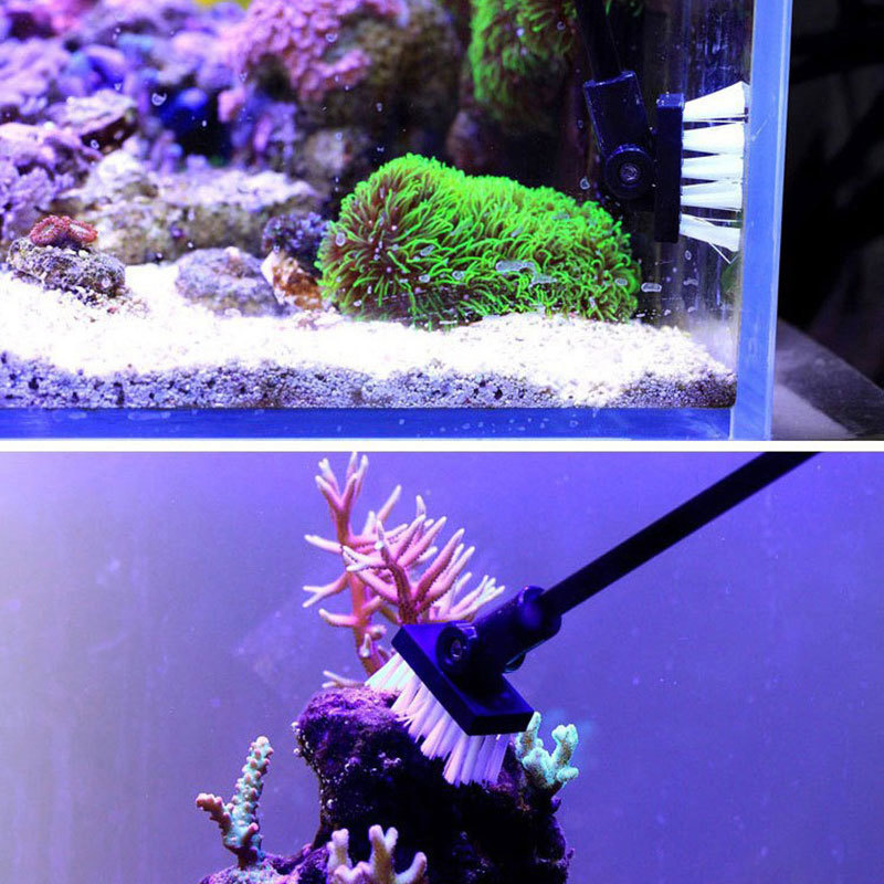 Sikat pembersih pancing tangki - Planted Aquarium Cleaning ulasan dan harga