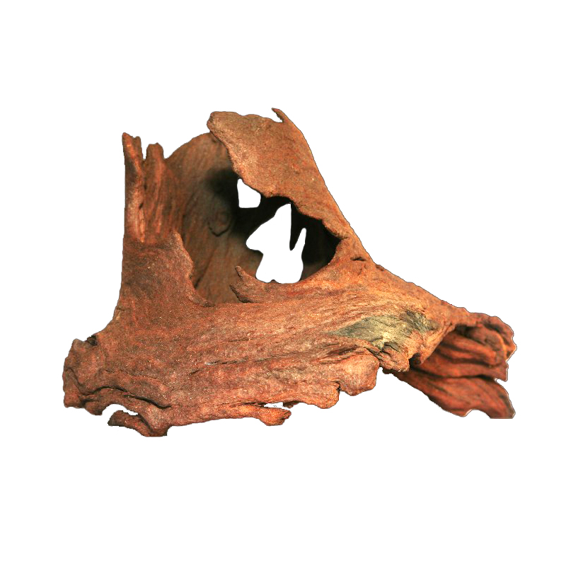 Kayu Apung Akar Mopani Kualita - Aquarium Driftwood ulasan dan harga