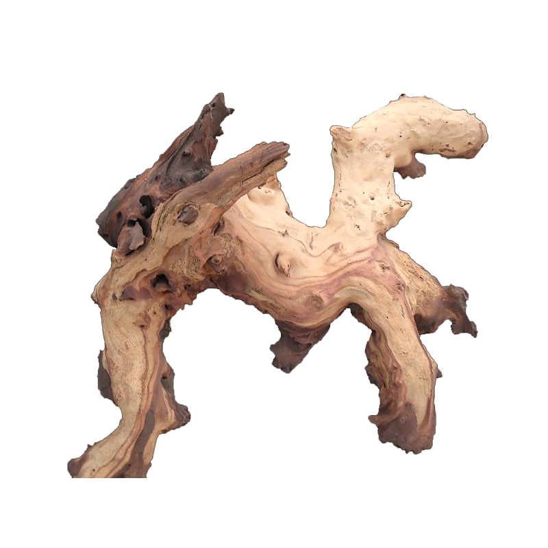 Kayu Apung Akar Mopani Kualita - Aquarium Driftwood ulasan dan harga