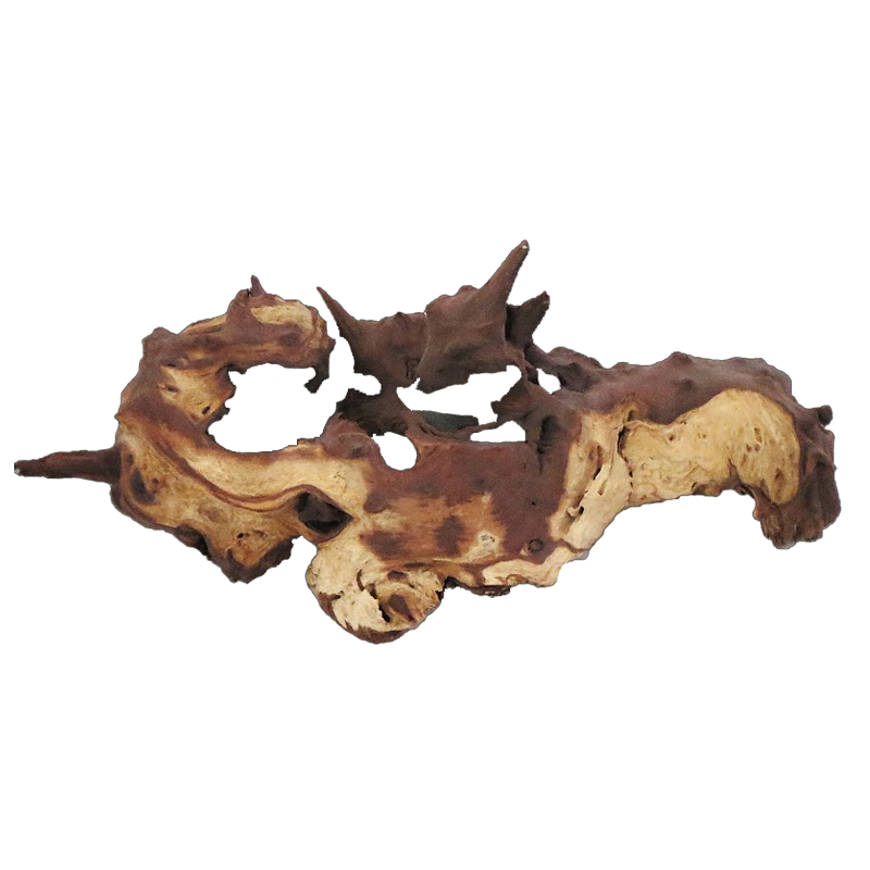 Kayu Apung Akar Mopani Kualita - Aquarium Driftwood ulasan dan harga