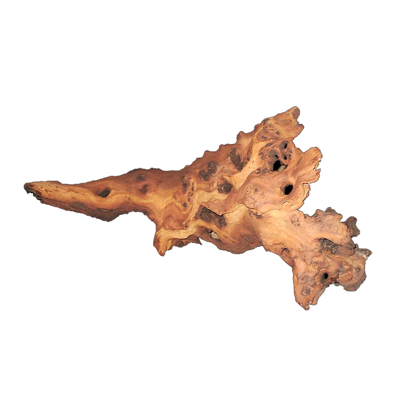 Kayu Apung Akar Mopani Kualita - Aquarium Driftwood ulasan dan harga