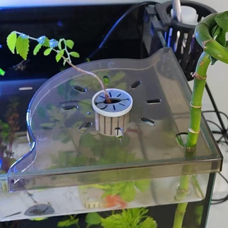 Rak Sudut Tangki Ikan Rak Frag - Aquarium Plant Holder ulasan dan harga