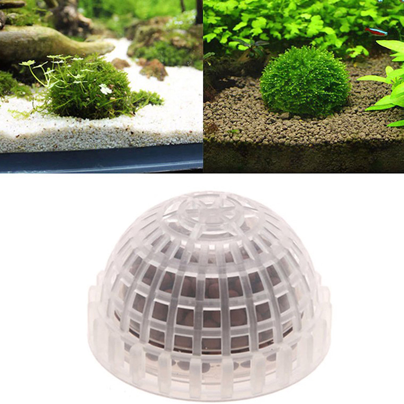 1 Buah Perlengkapan Hewan Peli - Aquarium Plants Live ulasan dan harga
