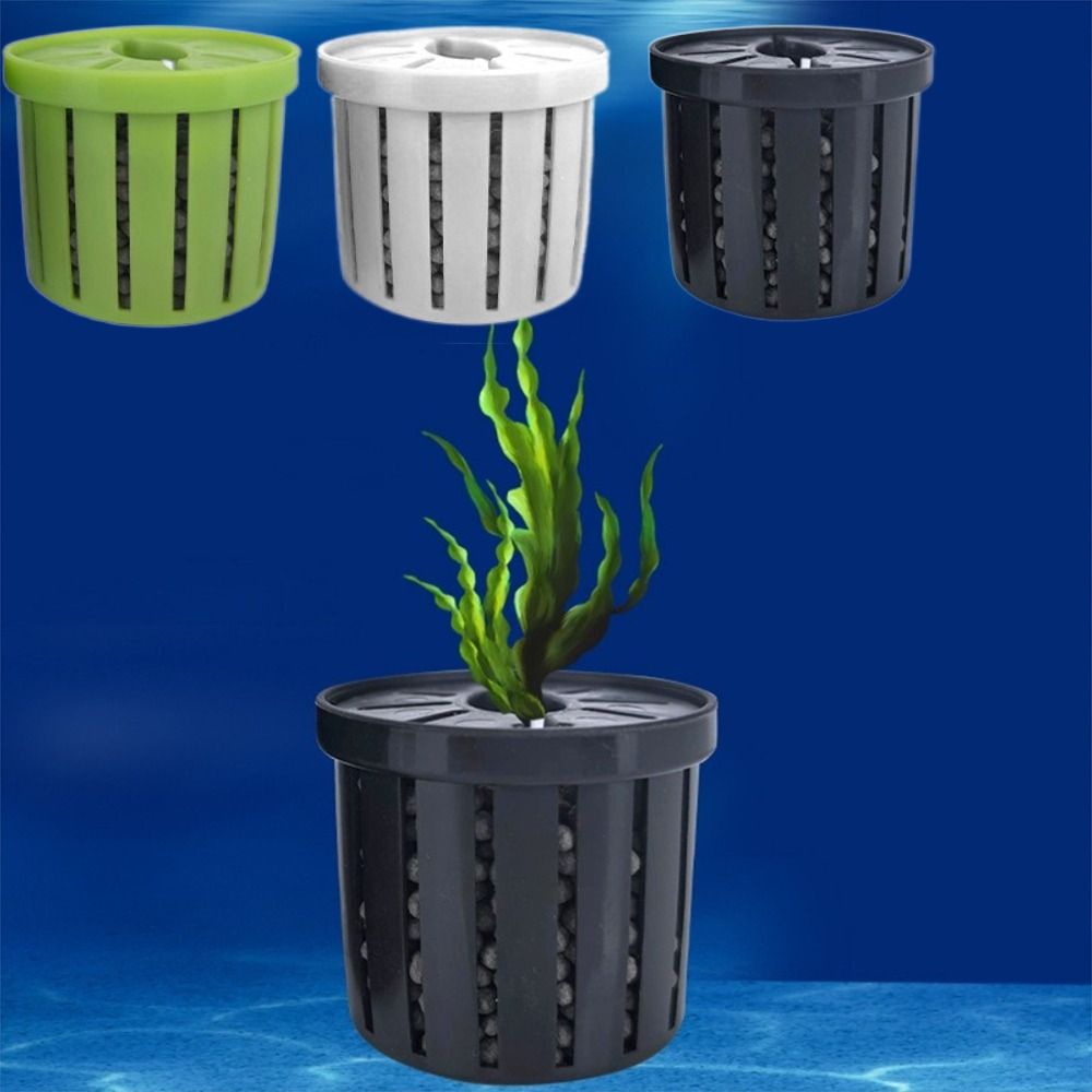 4 Buah Dudukan Tanaman Air Tan - Planted Aquarium Cleaning ulasan dan harga