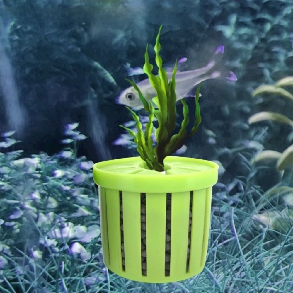 4 Buah Dudukan Tanaman Air Tan - Planted Aquarium Cleaning ulasan dan harga