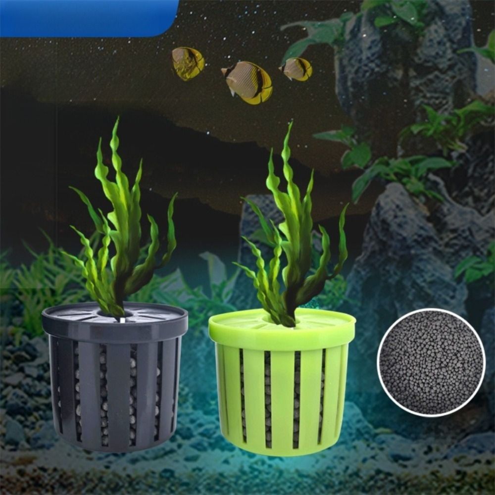 4 Buah Dudukan Tanaman Air Tan - Planted Aquarium Cleaning ulasan dan harga