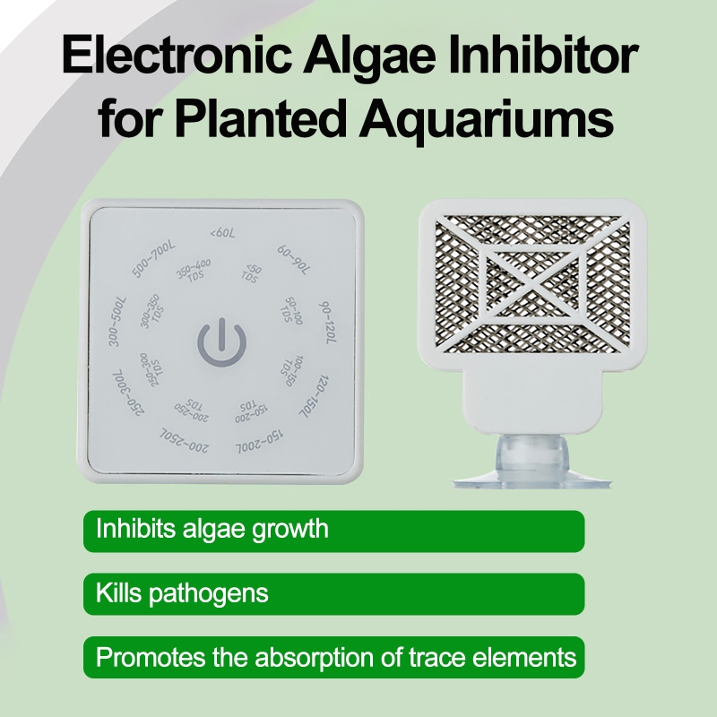 Alat Pembersih Tangki Ikan Aku - Planted Aquarium Cleaning ulasan dan harga