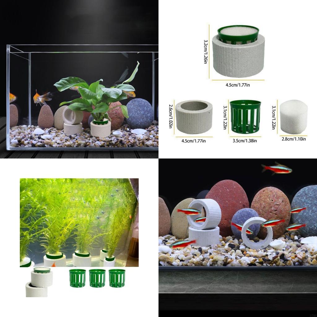 37ME 10 Buah Set Cincin Tetap  - Aquarium Plant Holder ulasan dan harga