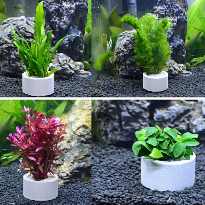 37ME 10 Buah Set Cincin Tetap  - Aquarium Plant Holder ulasan dan harga