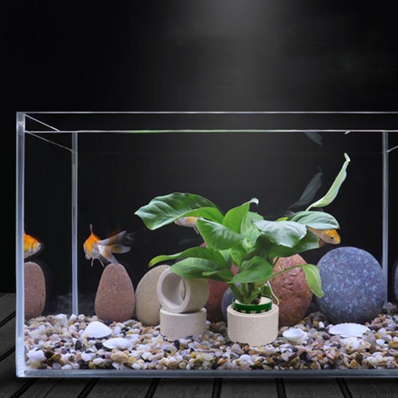 37ME 10 Buah Set Cincin Tetap  - Aquarium Plant Holder ulasan dan harga