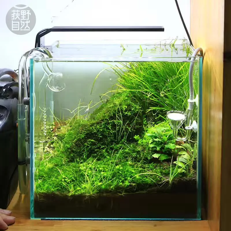 Chihiros C Series ADA Style Pl - Aquarium Plant Light ulasan dan harga