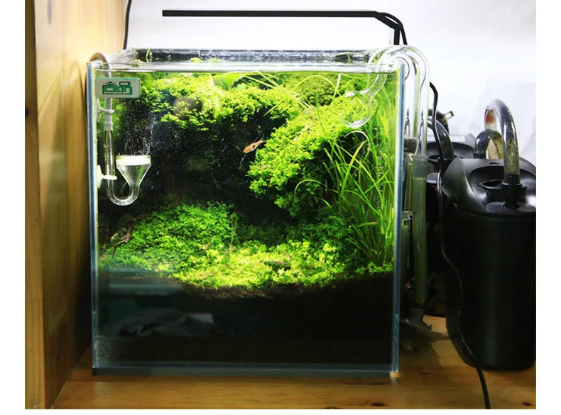 Chihiros C Series ADA Style Pl - Aquarium Plant Light ulasan dan harga