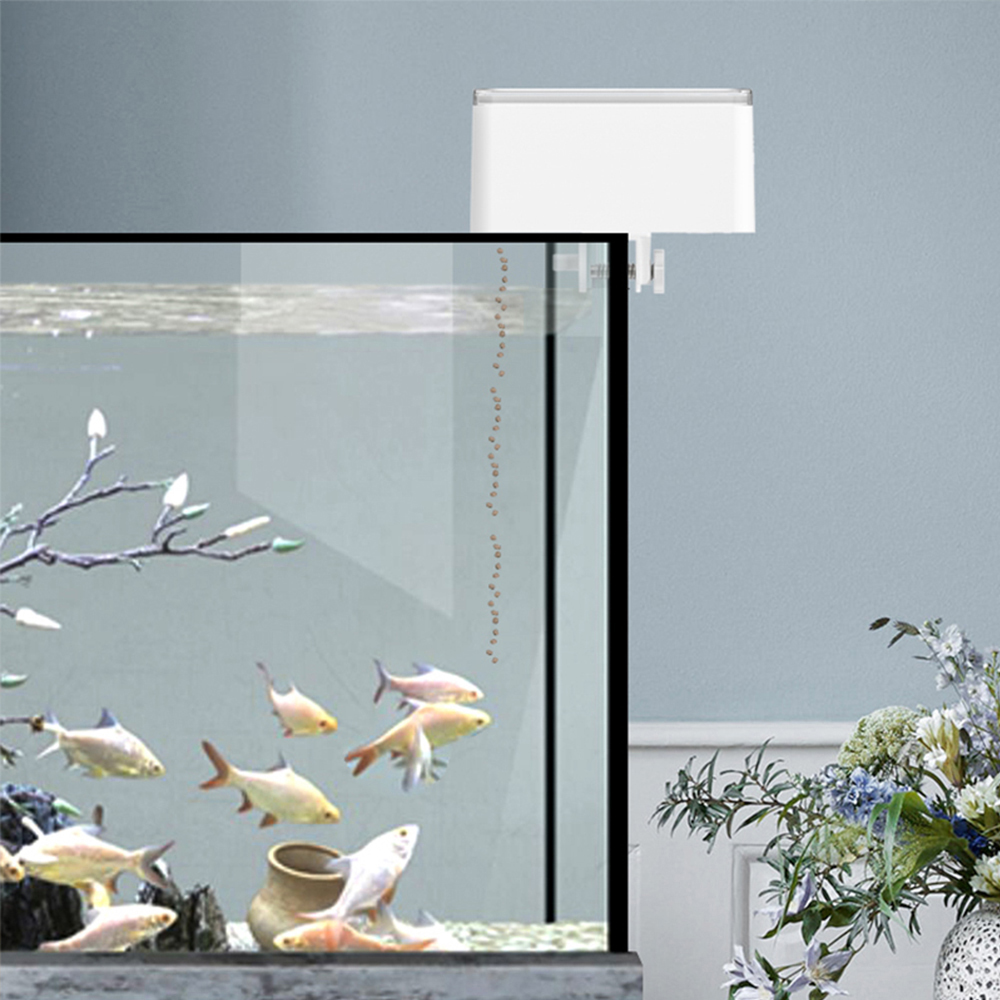 Pengumpan Ikan Cerdas ZYfeeder - Aquarium Fertilizer ulasan dan harga