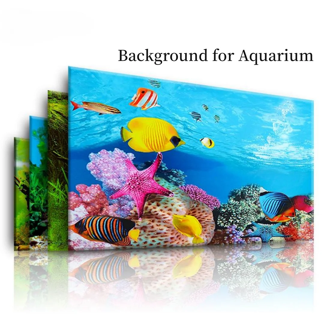 Latar belakang akuarium 3D sti - Aquarium Plants Live ulasan dan harga