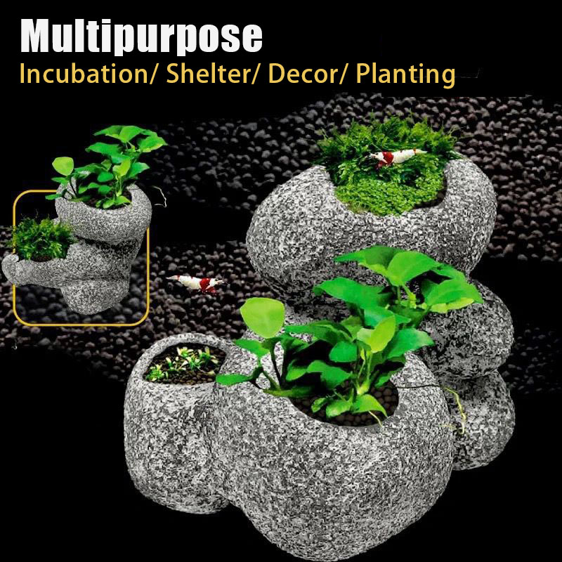 Pot tanaman air akuarium dekor - Aquarium Moss ulasan dan harga