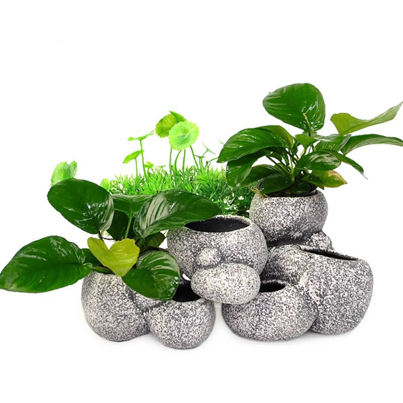 Pot tanaman air akuarium dekor - Aquarium Moss ulasan dan harga