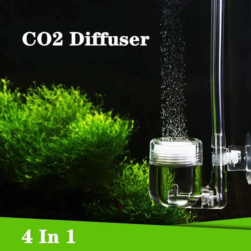 Reaktor Gelembung Tangki Kaca  - Live Plant Aquarium ulasan dan harga