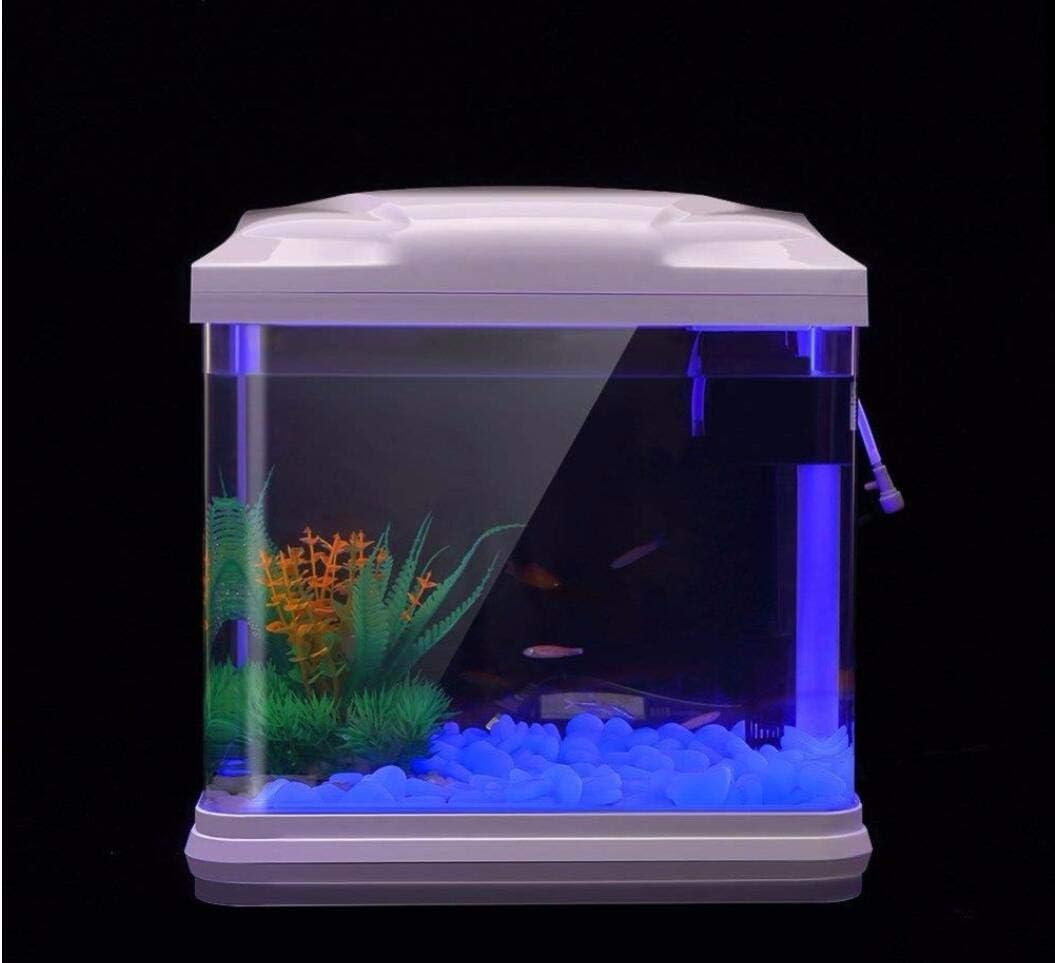 Batu Tangki Ikan Kerikil Biru  - Plant Aquarium Pot ulasan dan harga