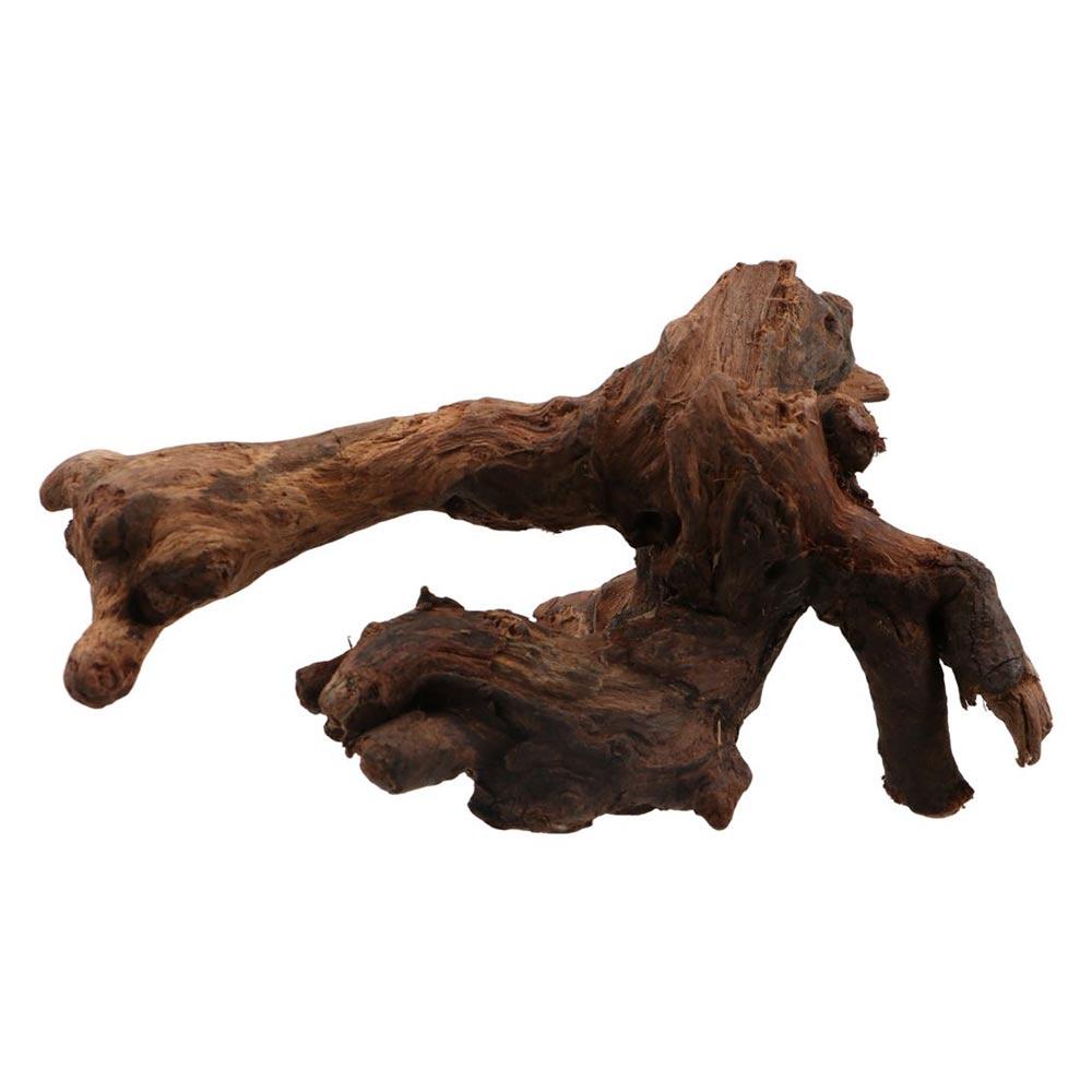 Kayu Karang Bentuk Tidak Berat - Aquarium Plant Substrate ulasan dan harga