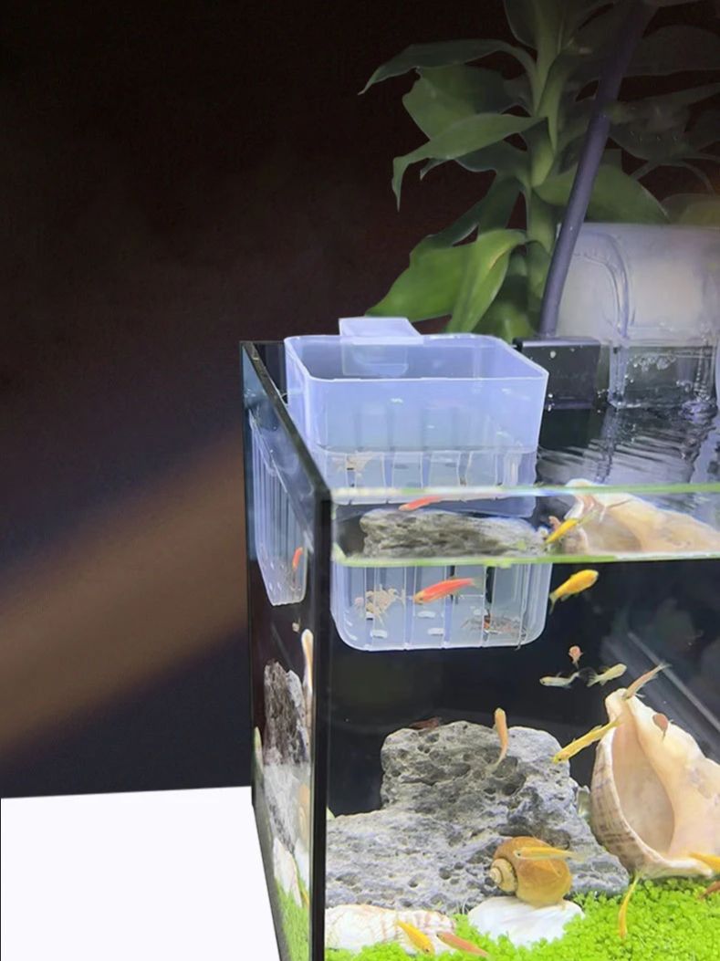 Keranjang Hidroponik Transpara - Aquarium Plant Holder ulasan dan harga