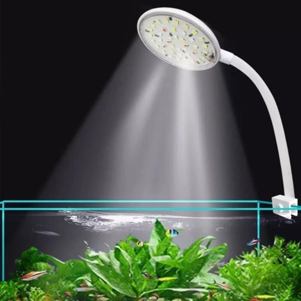 Lampu klip tangki ikan Mini, l - Aquarium Plants Live ulasan dan harga