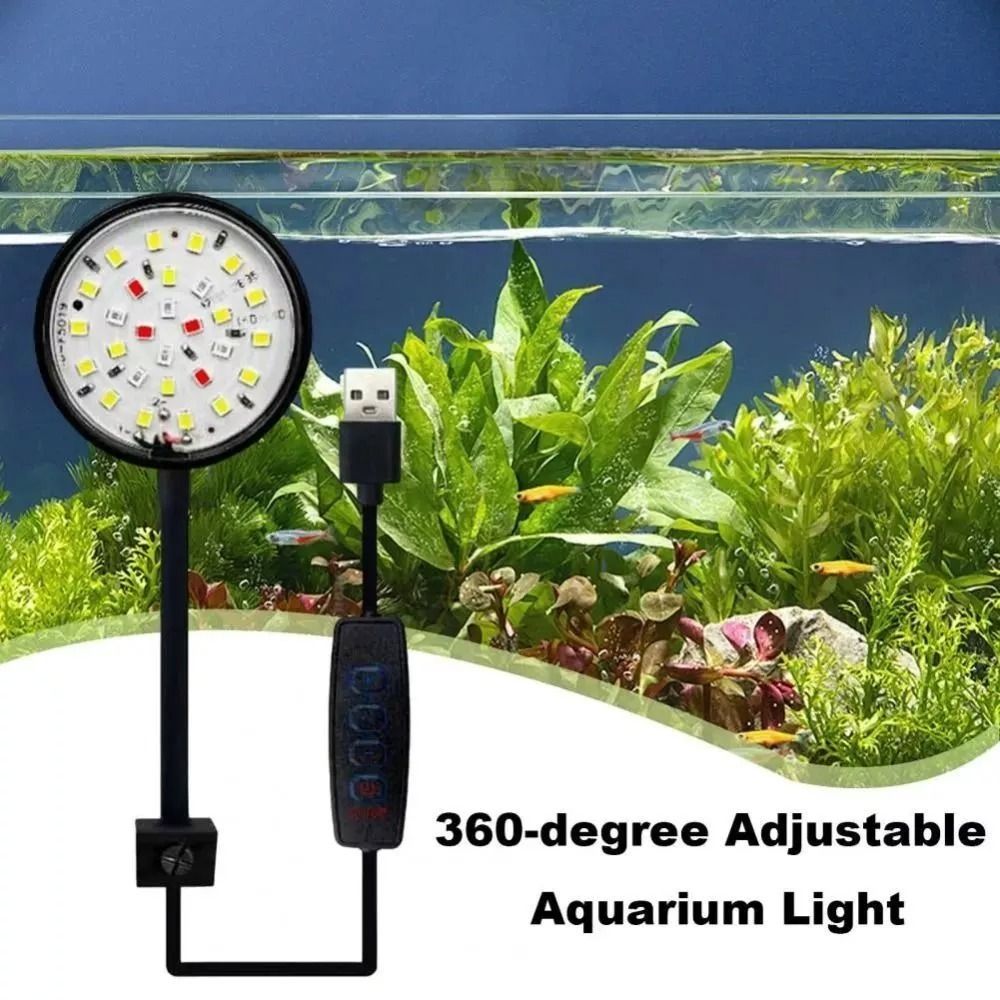 Lampu klip tangki ikan Mini, l - Aquarium Plants Live ulasan dan harga