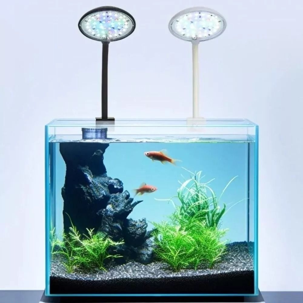 Lampu klip tangki ikan Mini, l - Aquarium Plants Live ulasan dan harga