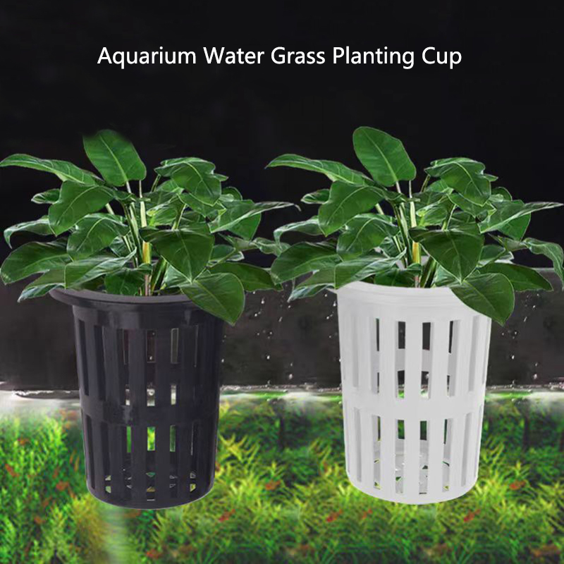 1/3 Buah Keranjang Tanaman Aku - Aquarium Plant Holder ulasan dan harga