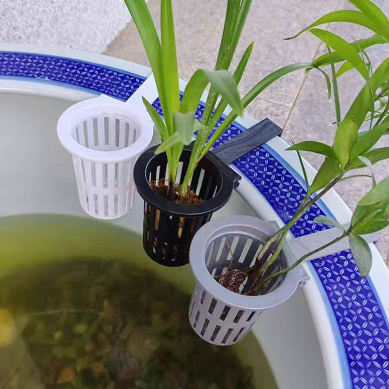 1/3 Buah Keranjang Tanaman Aku - Aquarium Plant Holder ulasan dan harga