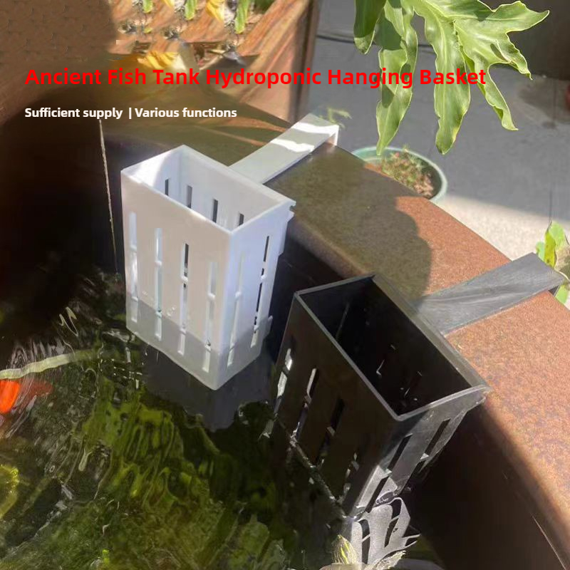 1/3 Buah Keranjang Tanaman Aku - Aquarium Plant Holder ulasan dan harga