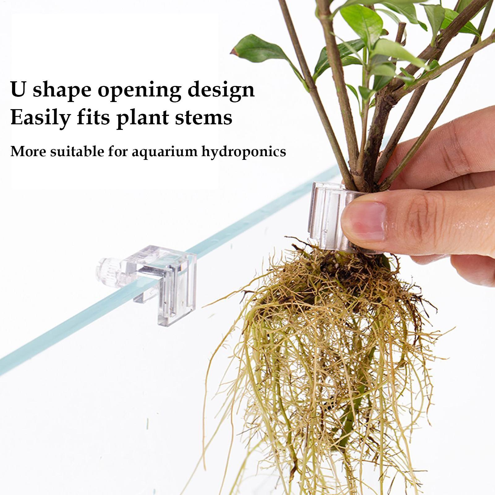 Pot Tanaman Mini untuk Akuariu - Aquarium Plant Holder ulasan dan harga