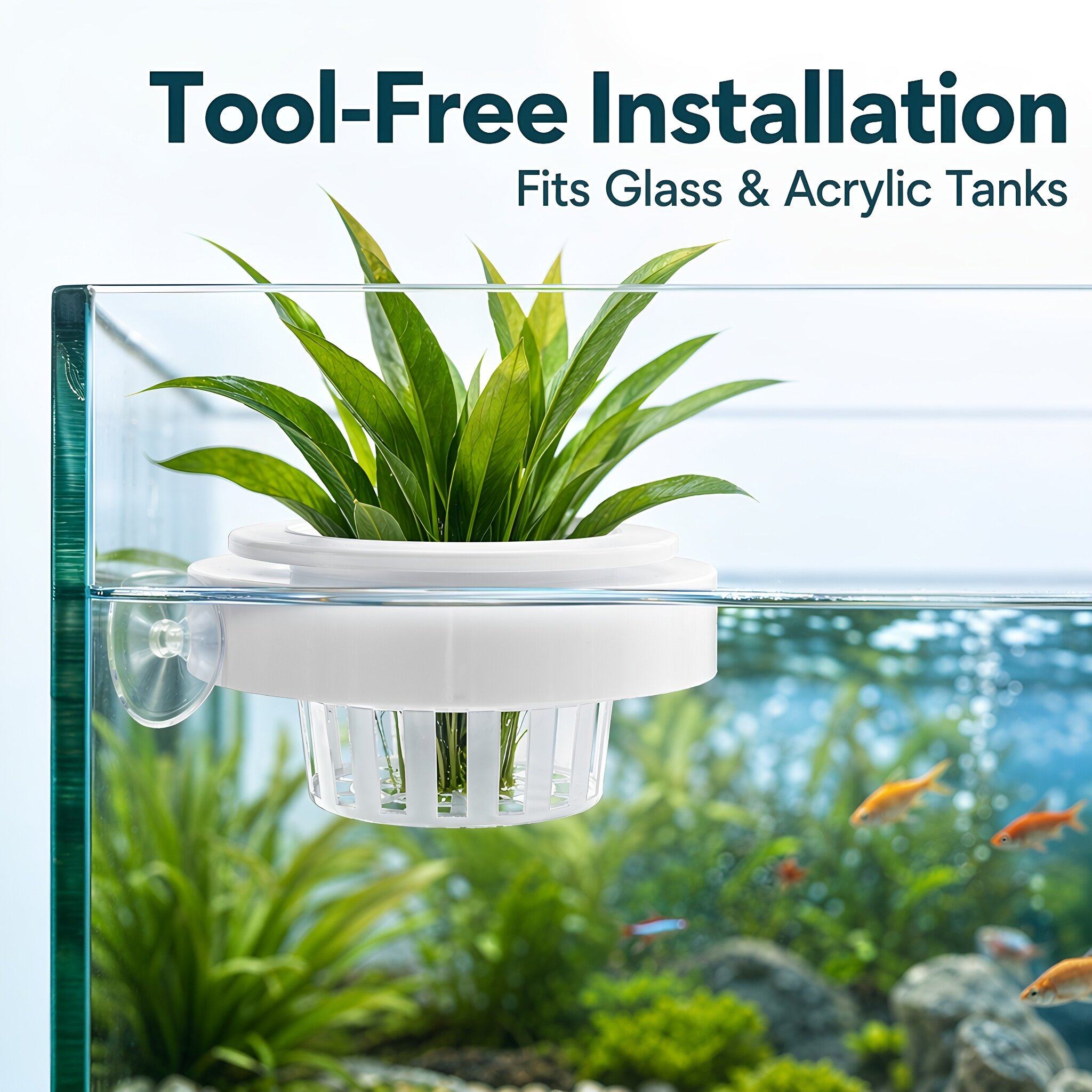 4 buah Keranjang Tanaman Akuar - Planted Tank ulasan dan harga