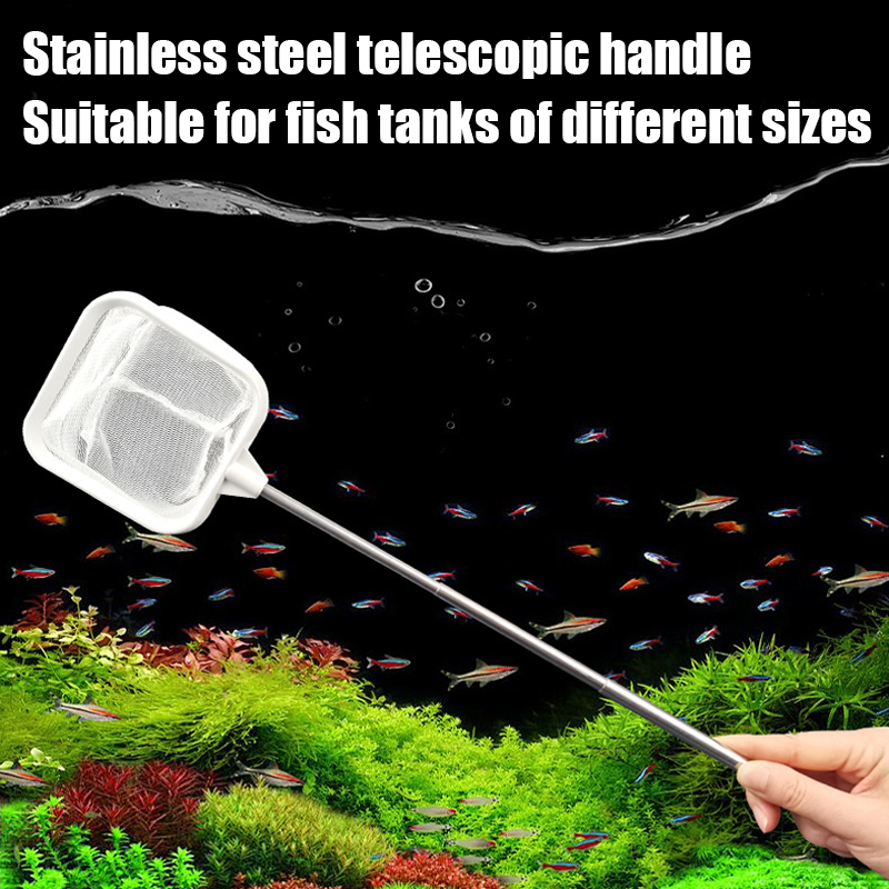 1 Buah Jaring Ikan Teleskopik  - Planted Aquarium Cleaning ulasan dan harga