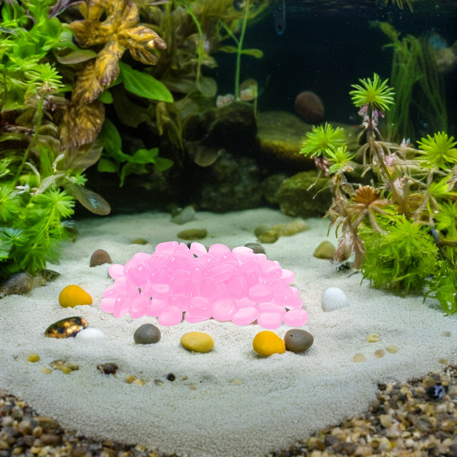 Batu Resin yang Menyala dalam  - Plant Aquarium Pot ulasan dan harga