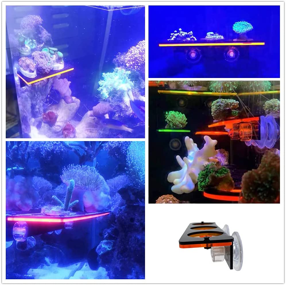 Braket penumbuh karang neon, r - Aquarium Plant Holder ulasan dan harga