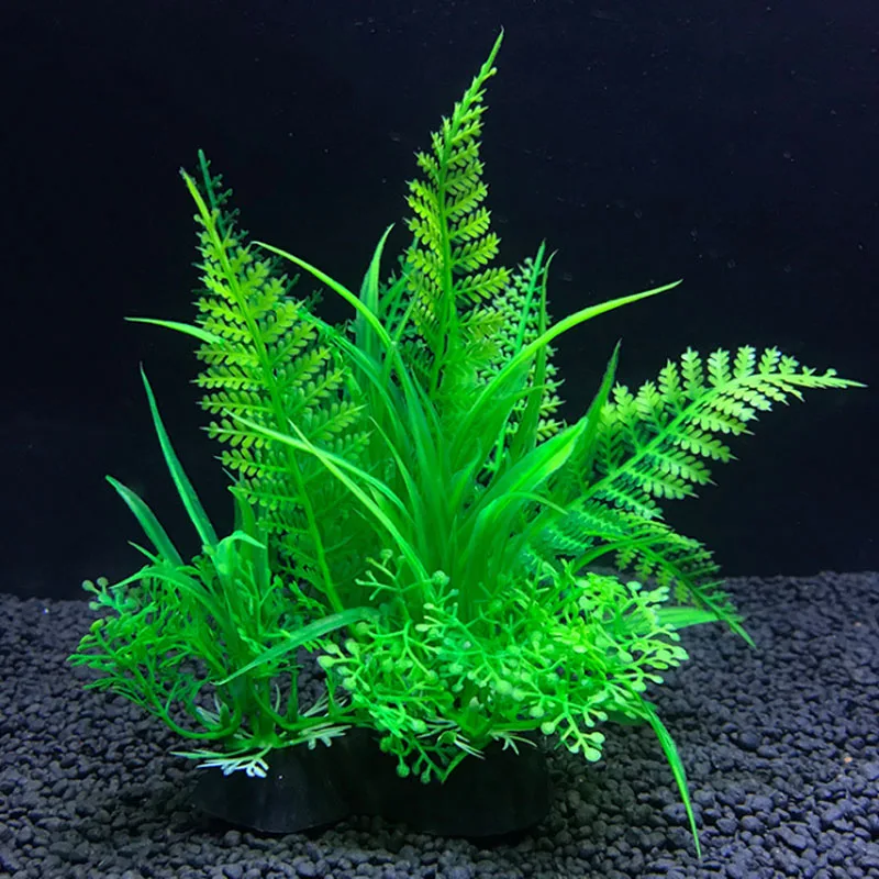 Aquarium Buatan Dekorasi Tanam - Live Plant Aquarium ulasan dan harga