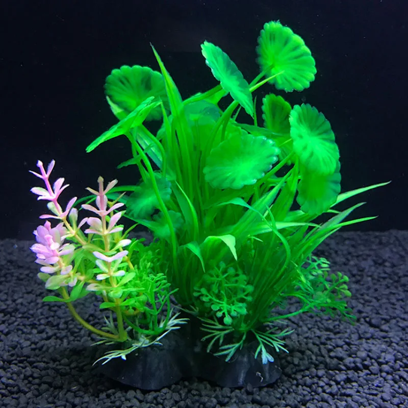 Aquarium Buatan Dekorasi Tanam - Live Plant Aquarium ulasan dan harga