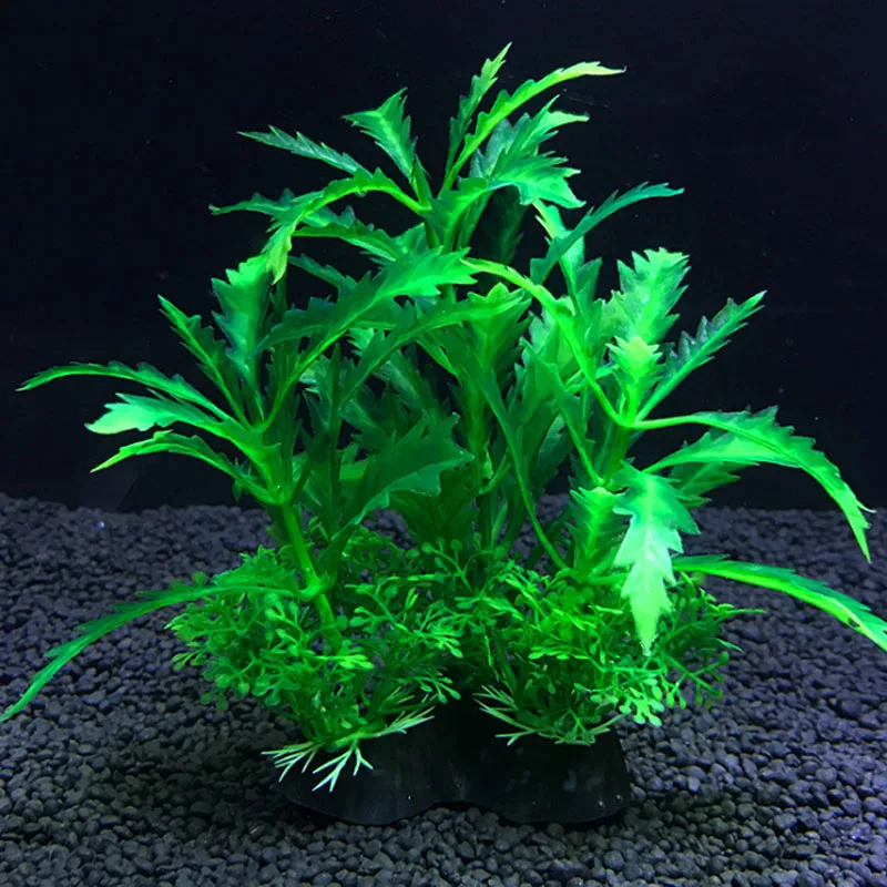 Aquarium Buatan Dekorasi Tanam - Live Plant Aquarium ulasan dan harga