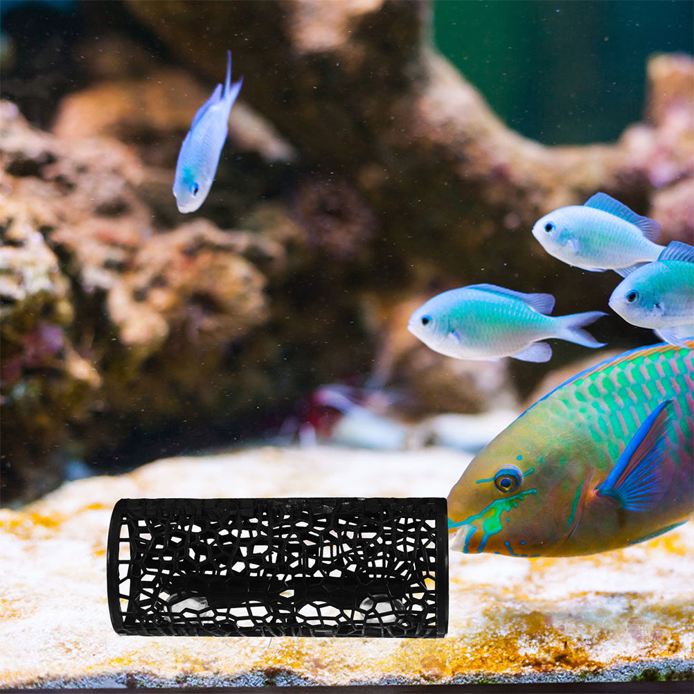 Dekorasi Akuarium, Ornamen Ika - Aquarium Moss ulasan dan harga