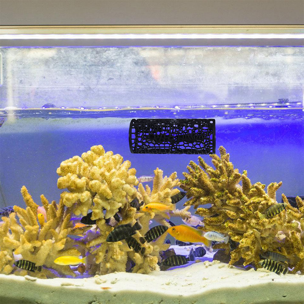 Dekorasi Akuarium, Ornamen Ika - Aquarium Moss ulasan dan harga