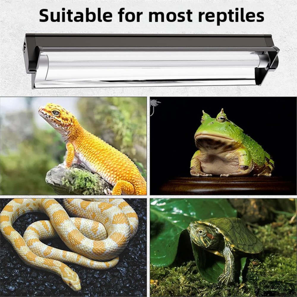 Lampu LED Terarium Tanaman dan - Planted Tank ulasan dan harga