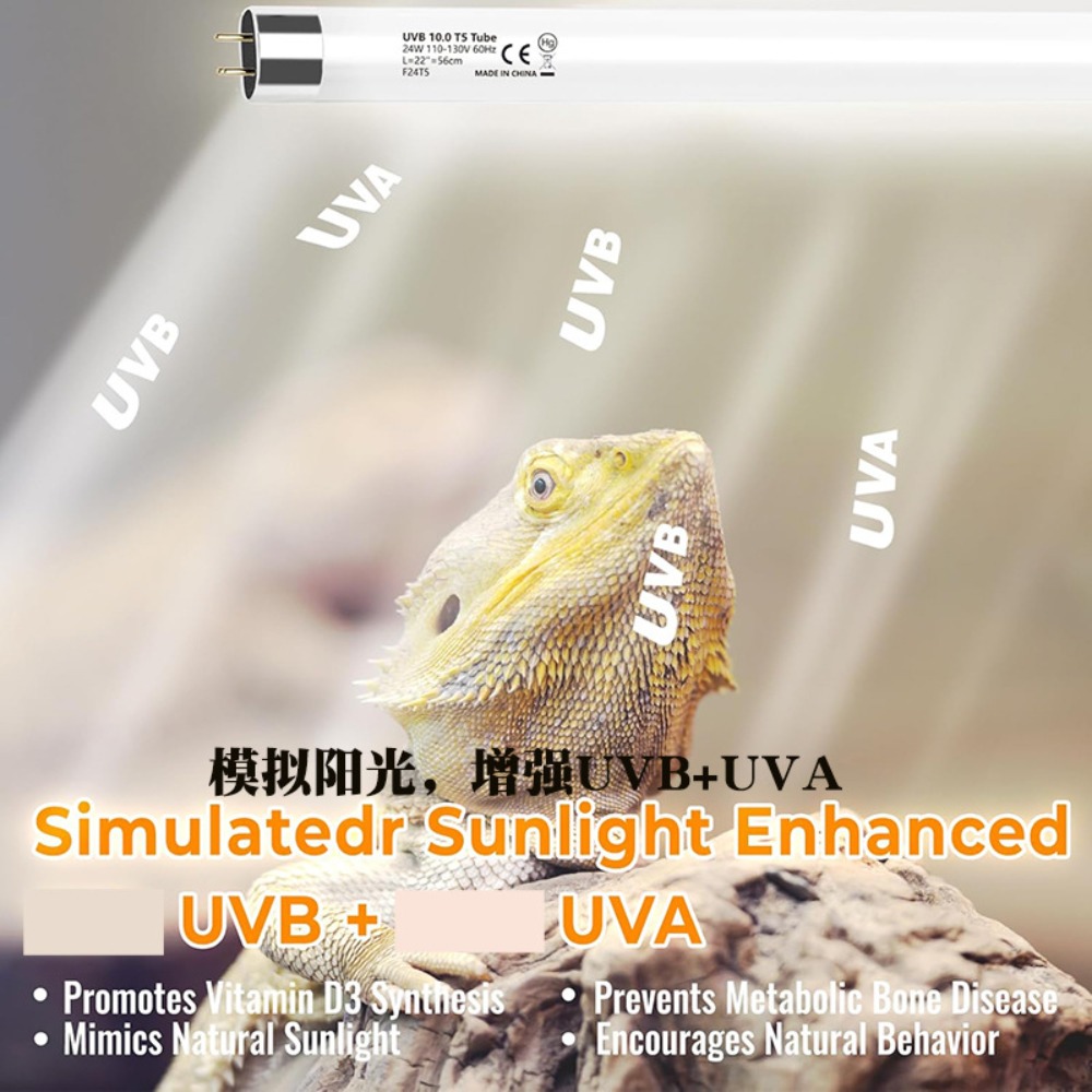 Lampu LED Terarium Tanaman dan - Planted Tank ulasan dan harga